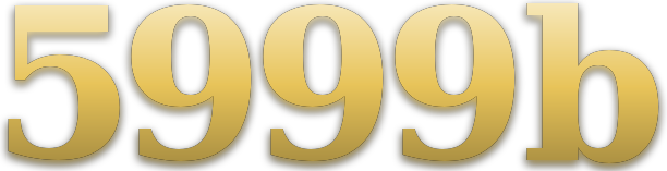 5999b logo